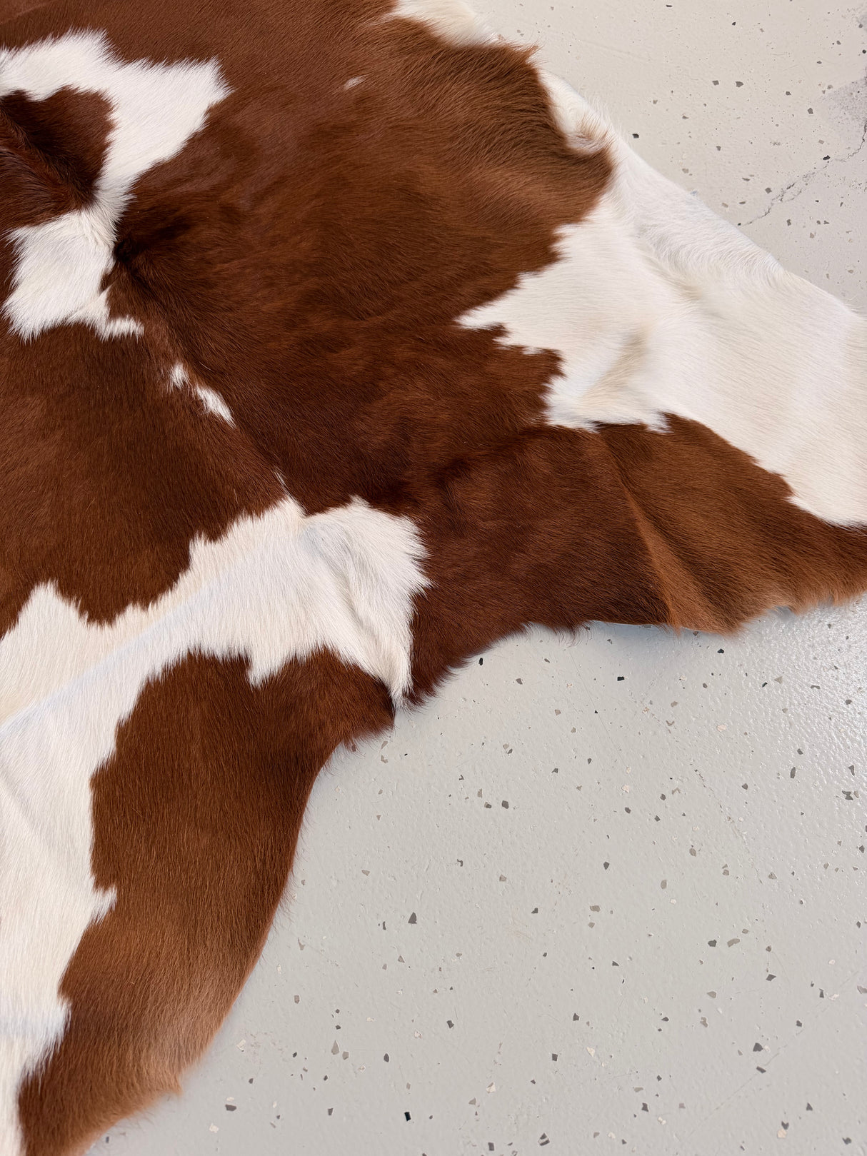 Calf Hide Floor Rug 010