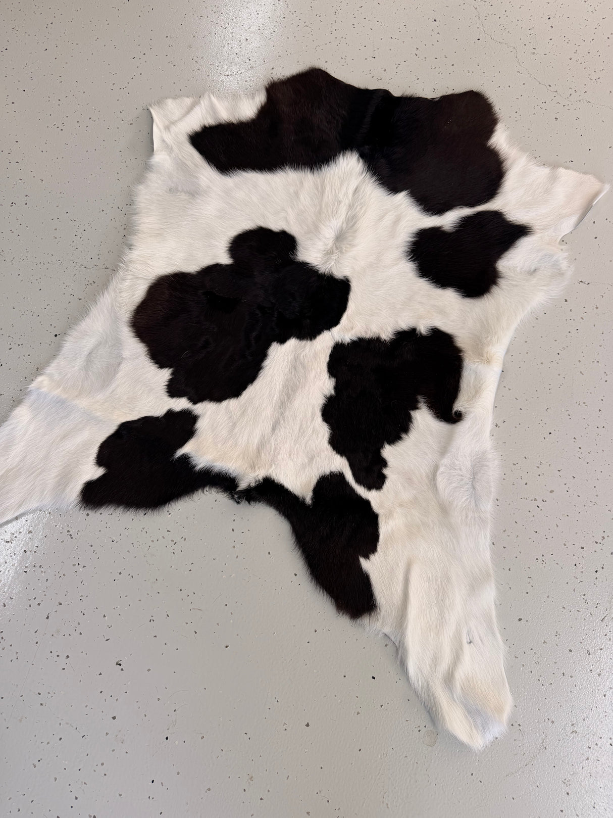 Calf Hide Floor Rug 011