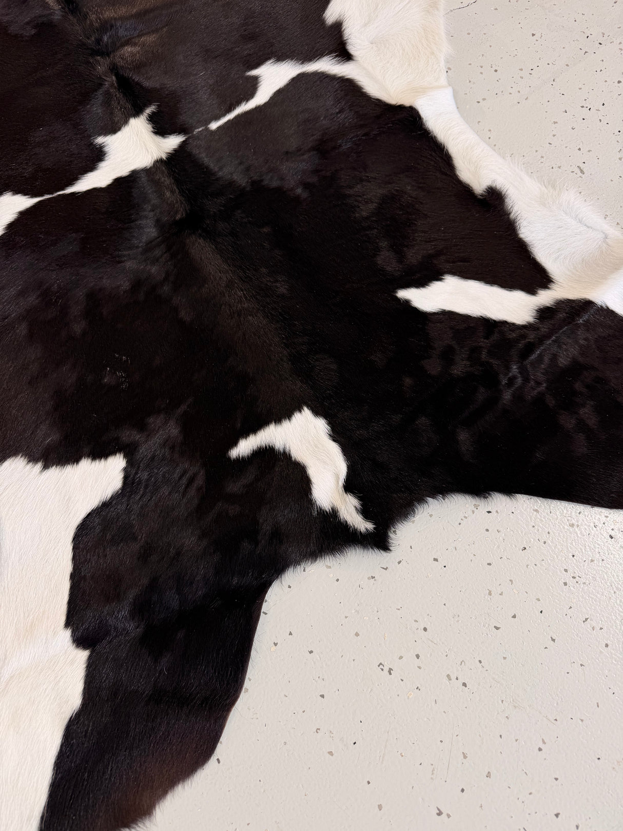 Calf Hide Floor Rug 022