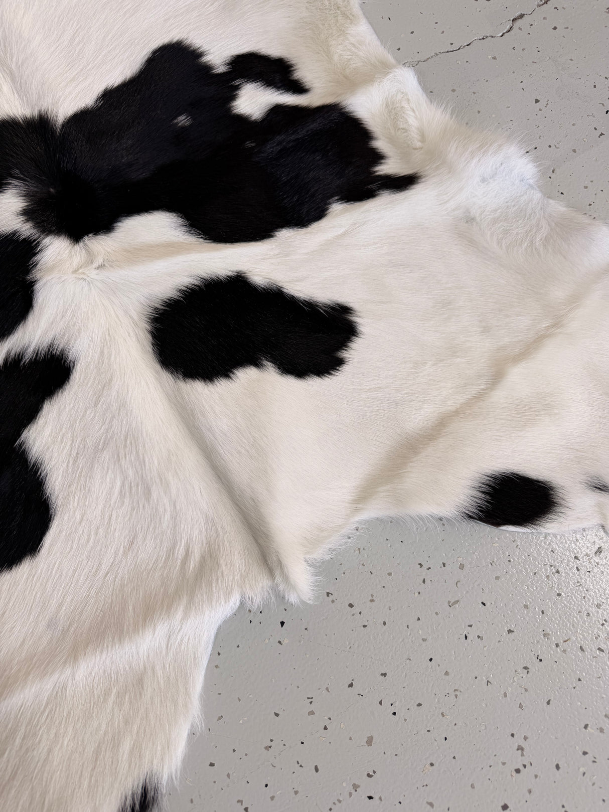 Calf Hide Floor Rug 024