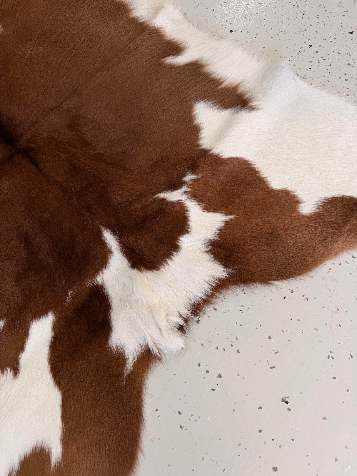 Calf Hide Floor Rug 026