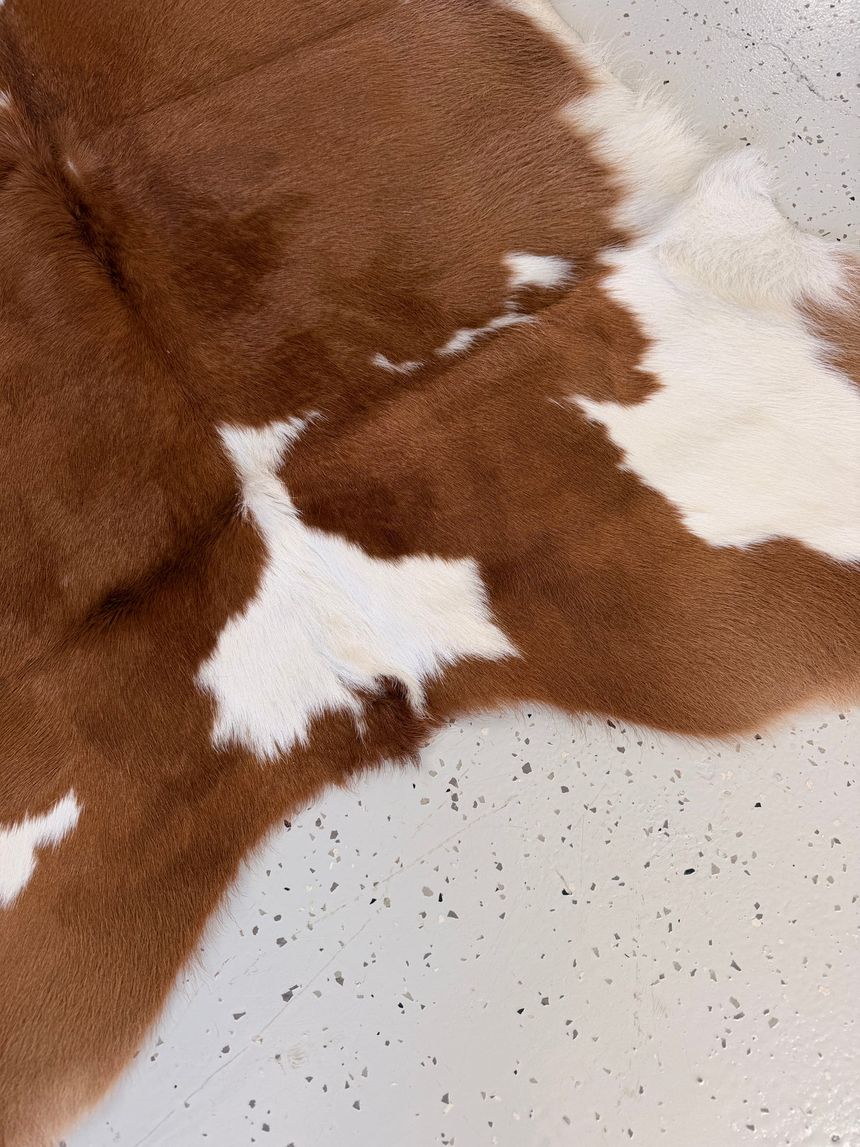 Calf Hide Floor Rug 027