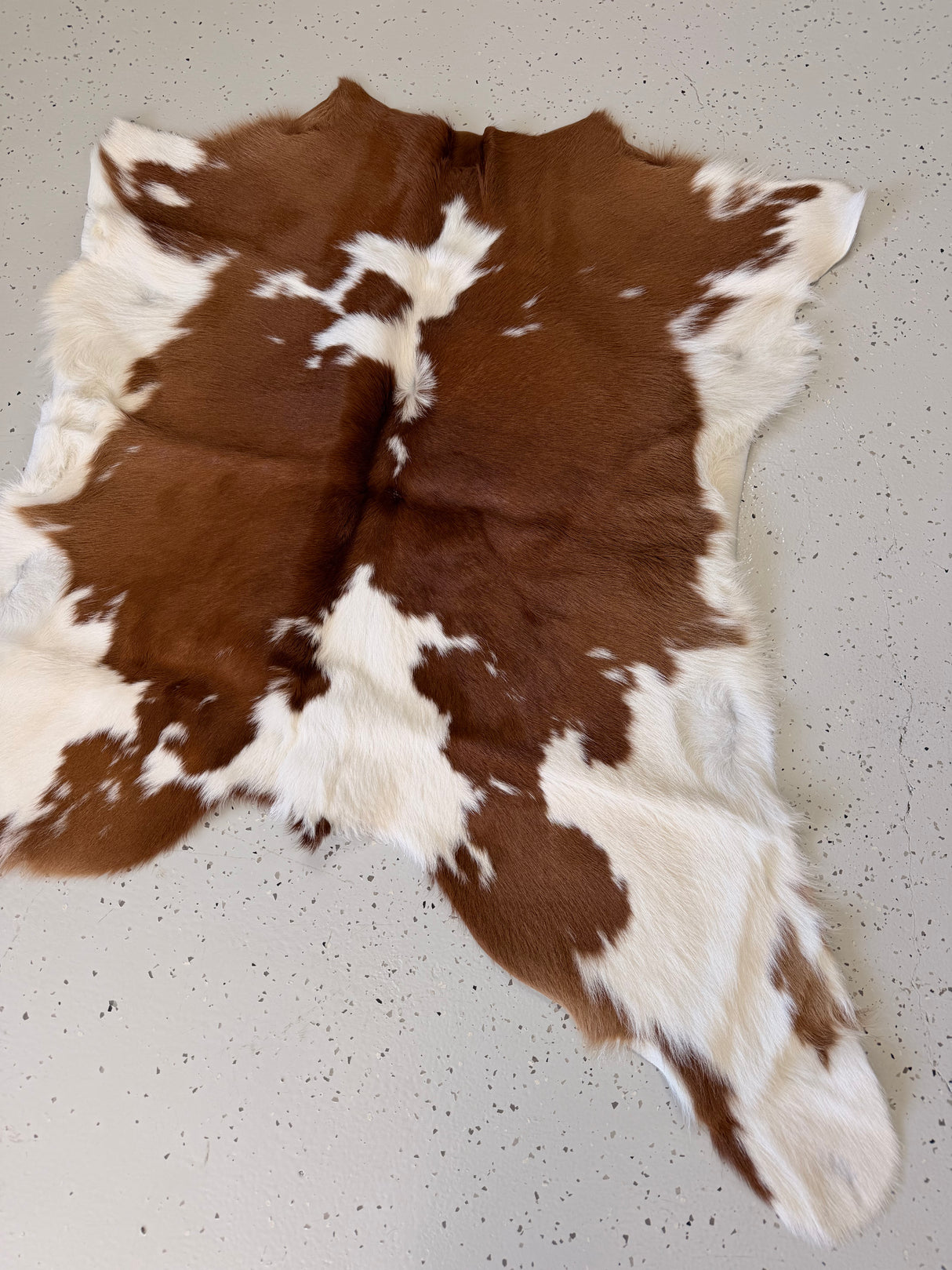 Calf Hide Floor Rug 029