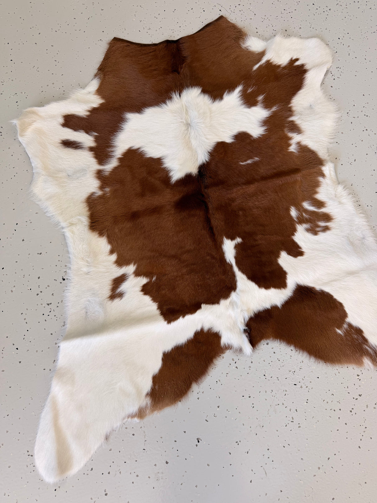 Calf Hide Floor Rug 030
