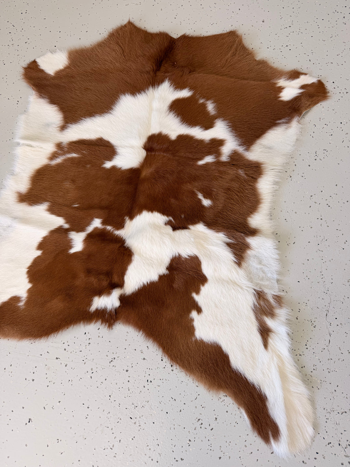 Calf Hide Floor Rug 031
