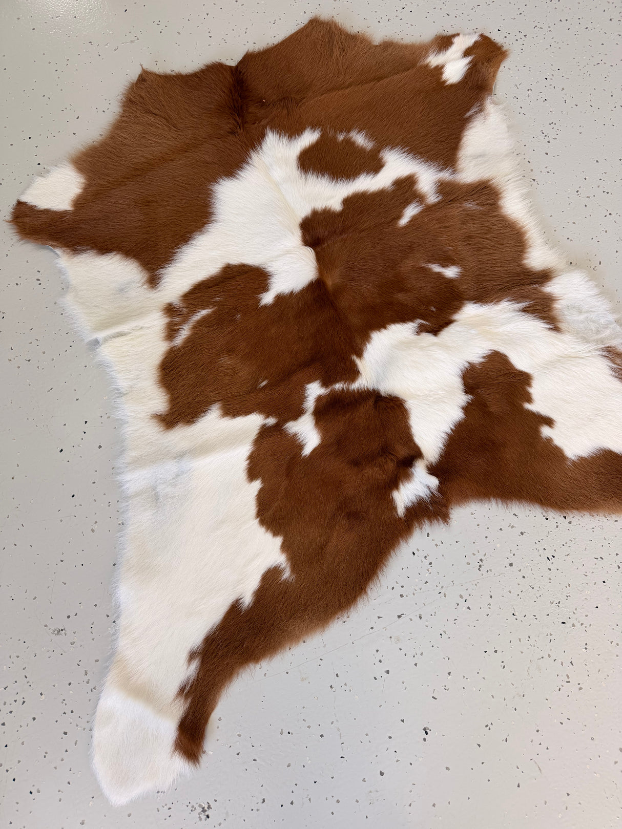 Calf Hide Floor Rug 031