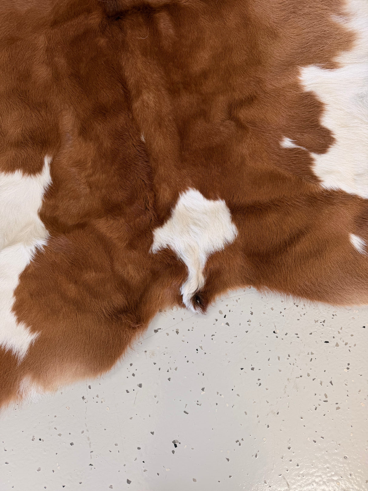 Calf Hide Floor Rug 033