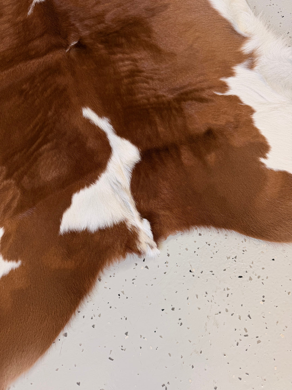Calf Hide Floor Rug 035