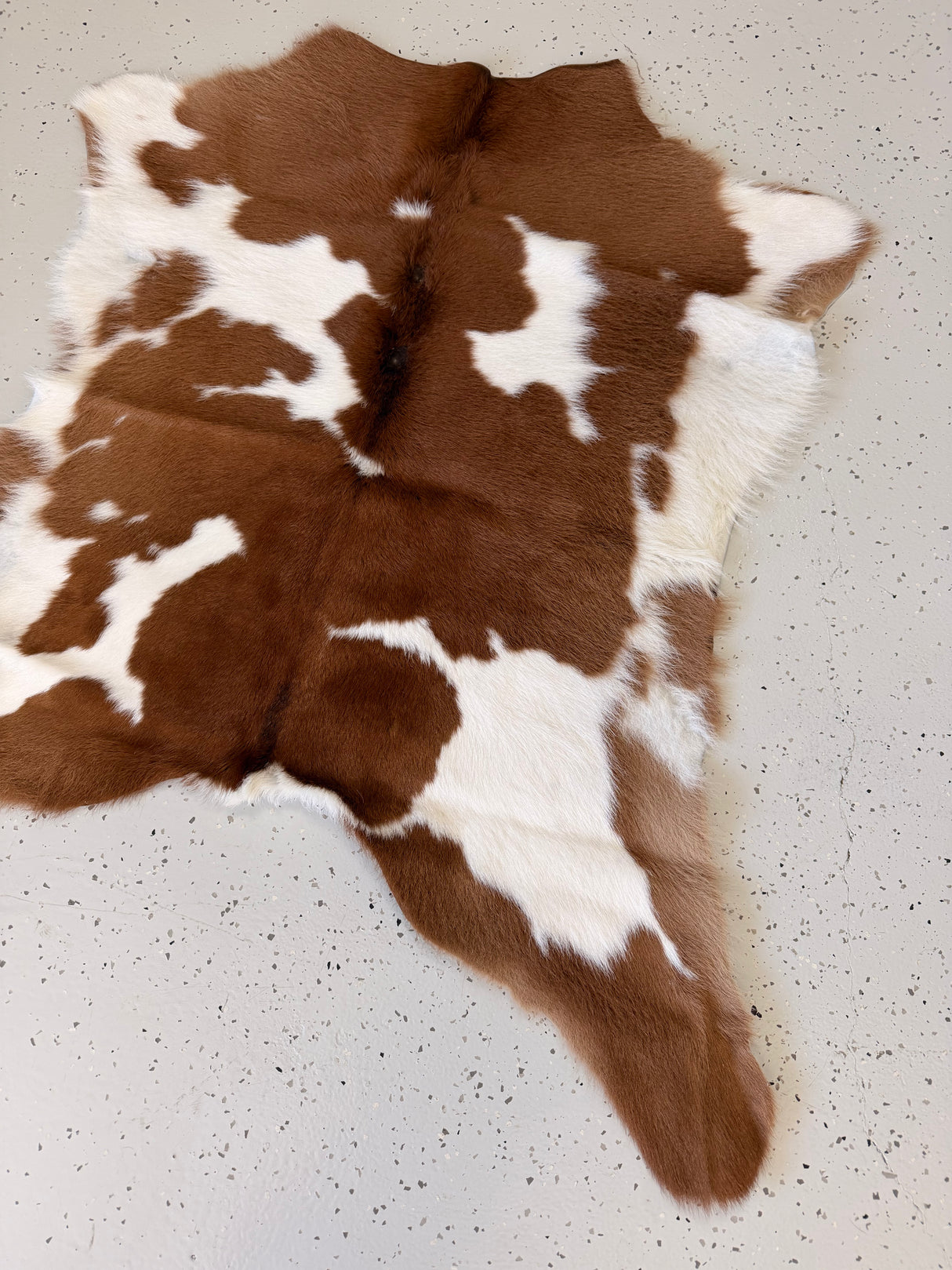 Calf Hide Floor Rug 036