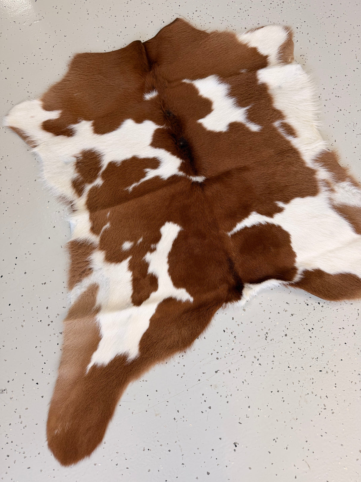 Calf Hide Floor Rug 036