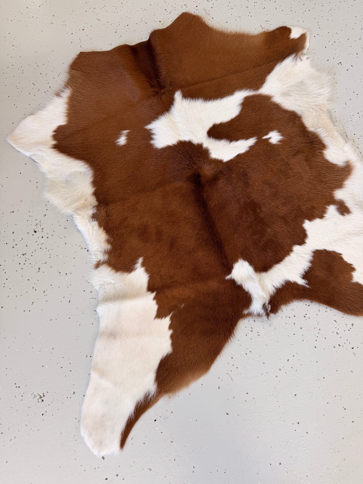 Calf Hide Floor Rug 038