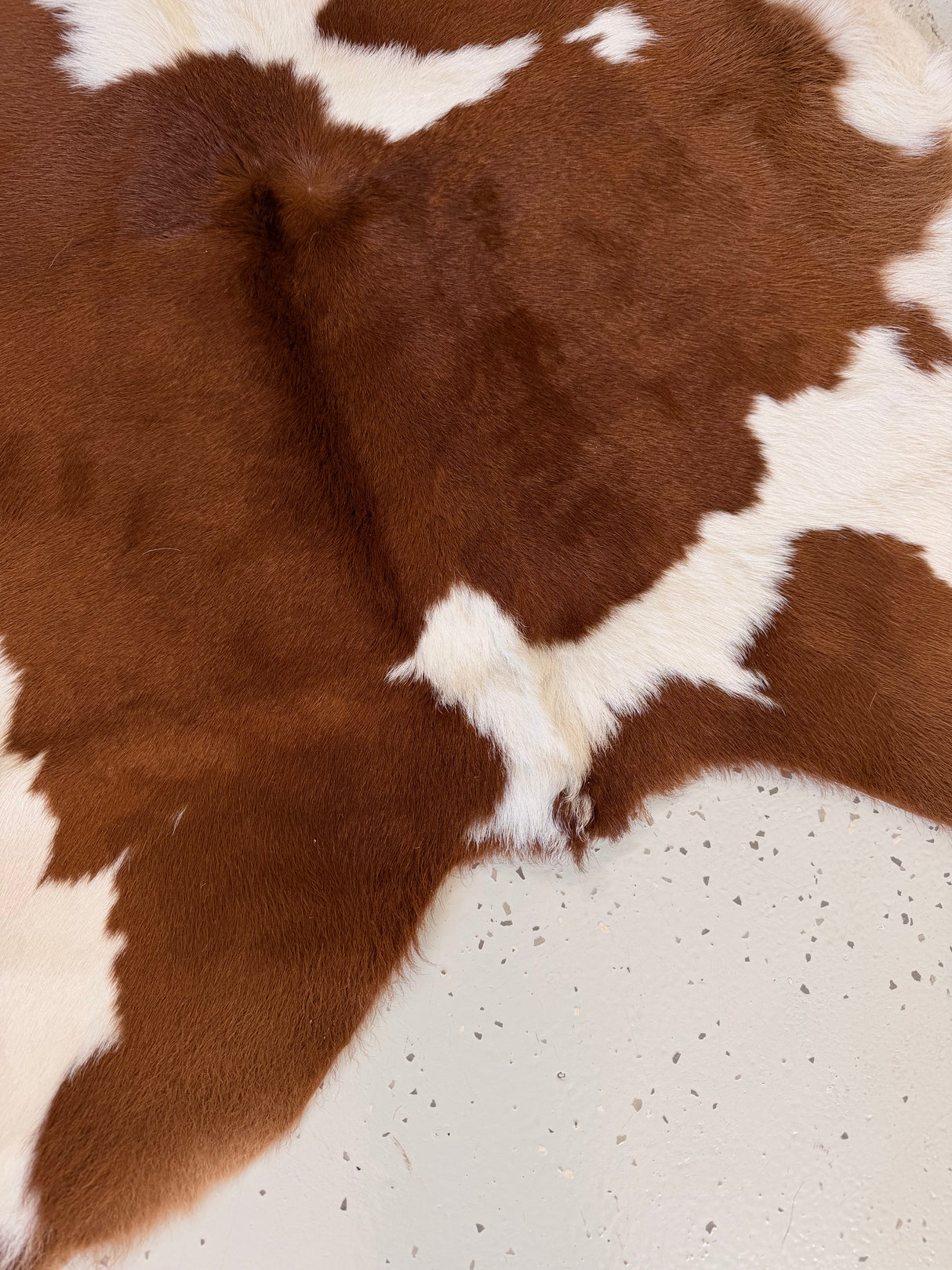 Calf Hide Floor Rug 038