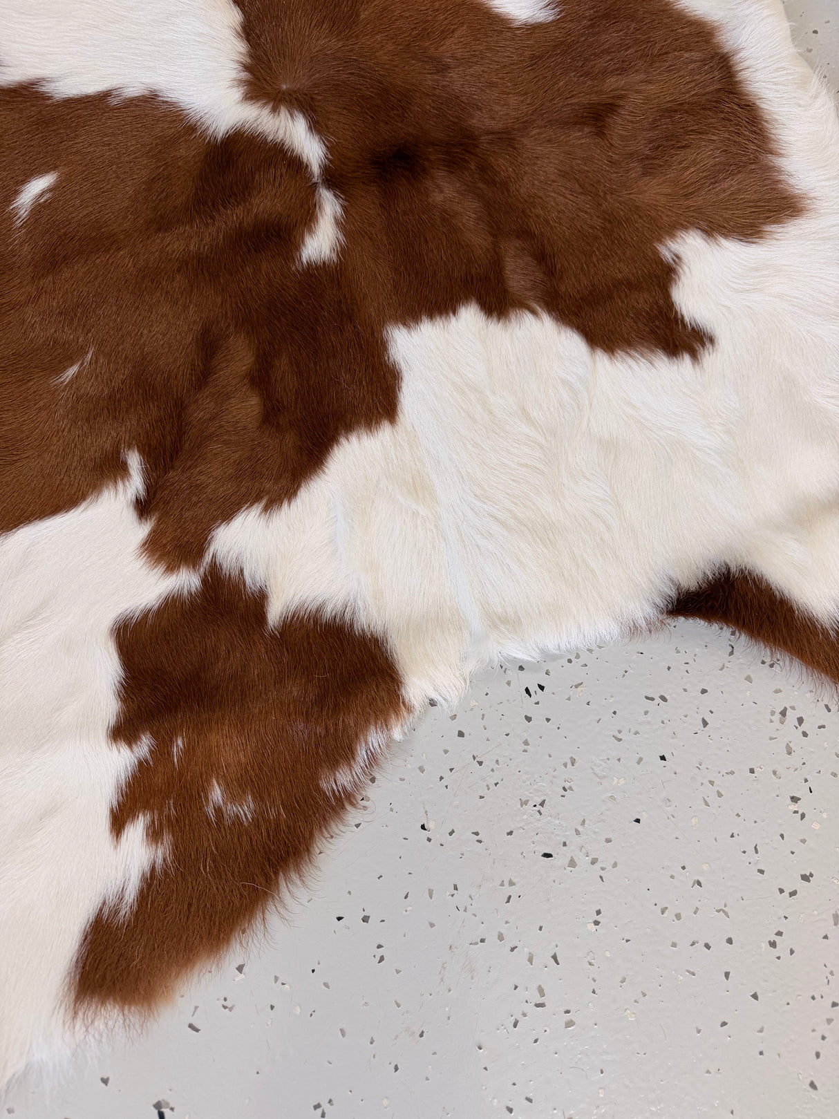 Calf Hide Floor Rug 039