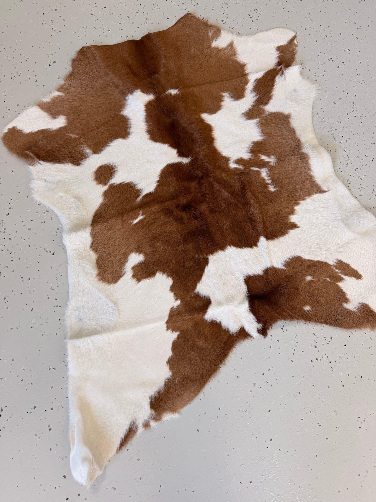 Calf Hide Floor Rug 040