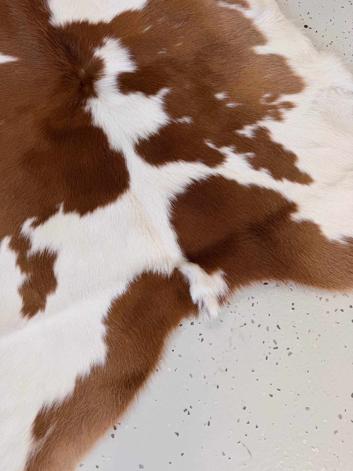 Calf Hide Floor Rug 041