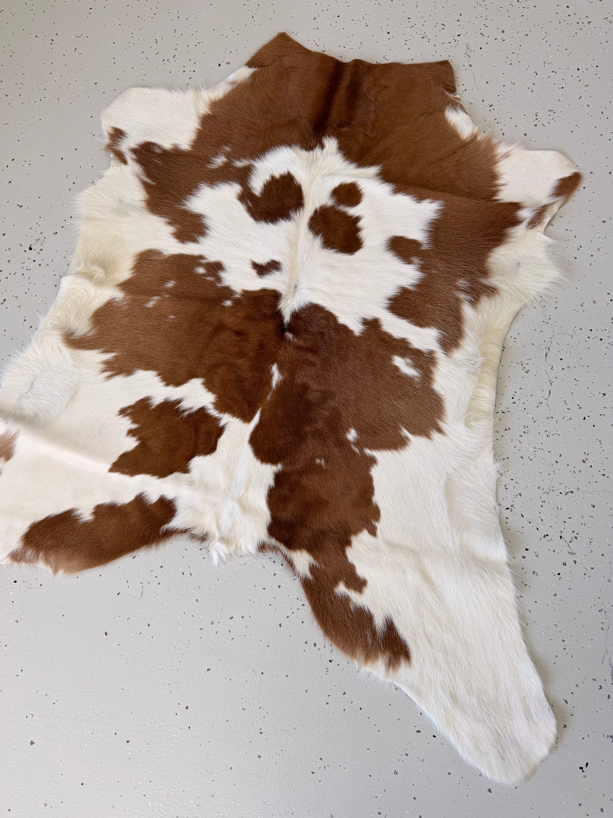 Calf Hide Floor Rug 043