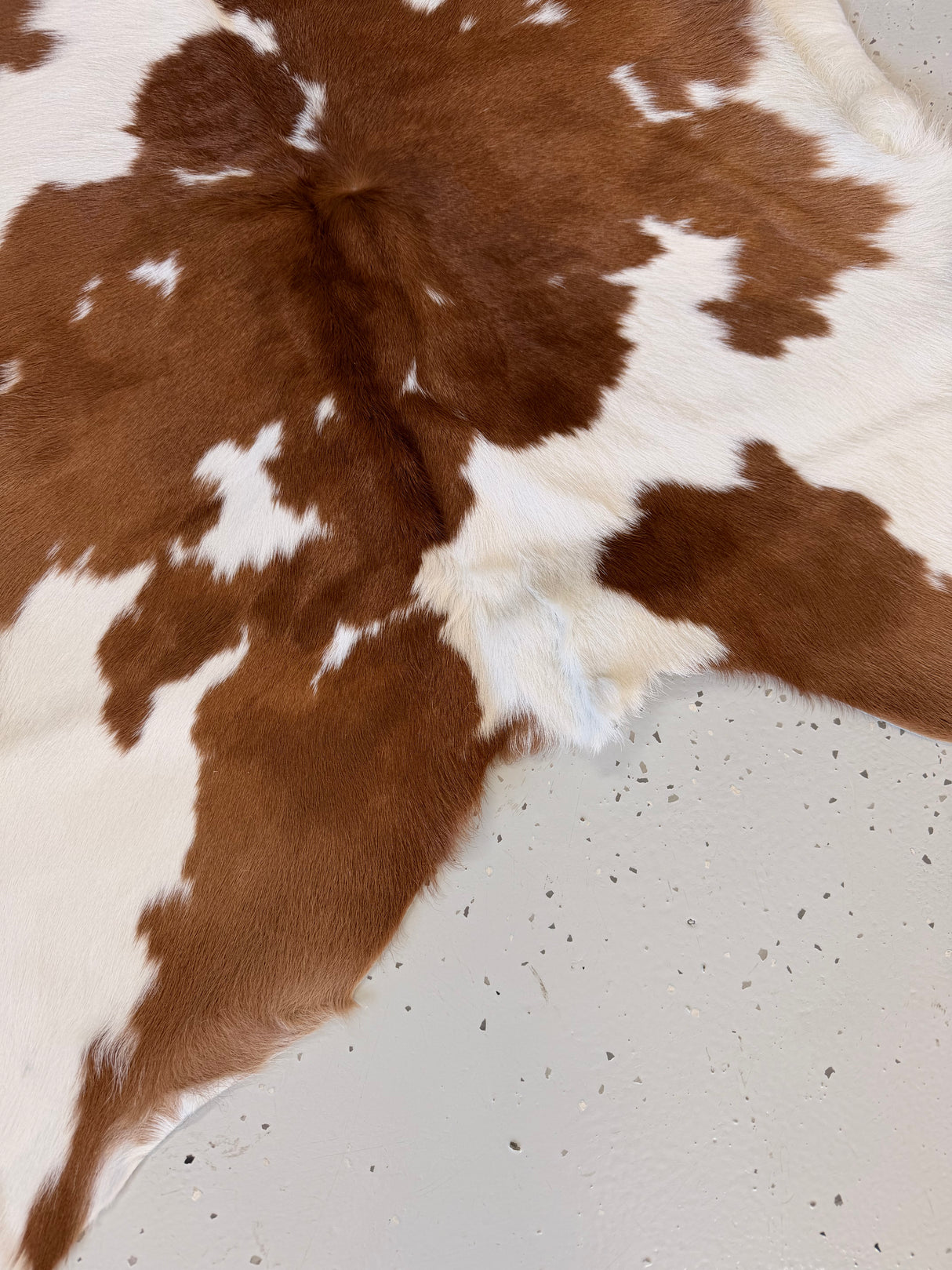 Calf Hide Floor Rug 044