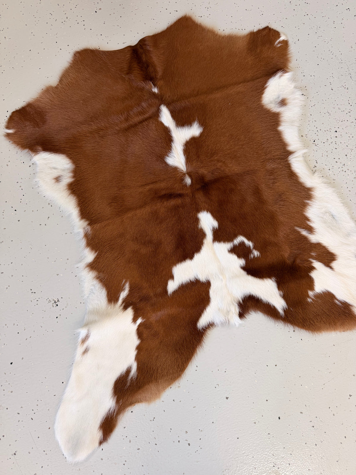 Calf Hide Floor Rug 047