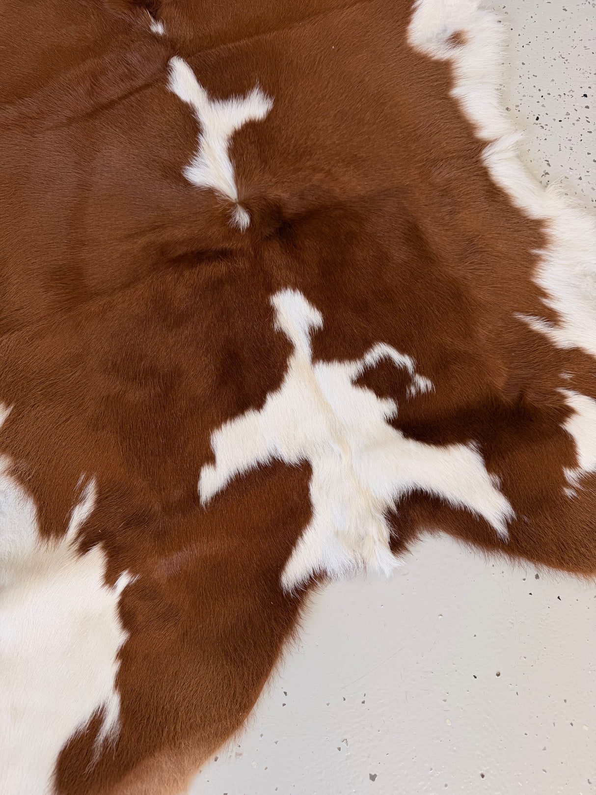 Calf Hide Floor Rug 047