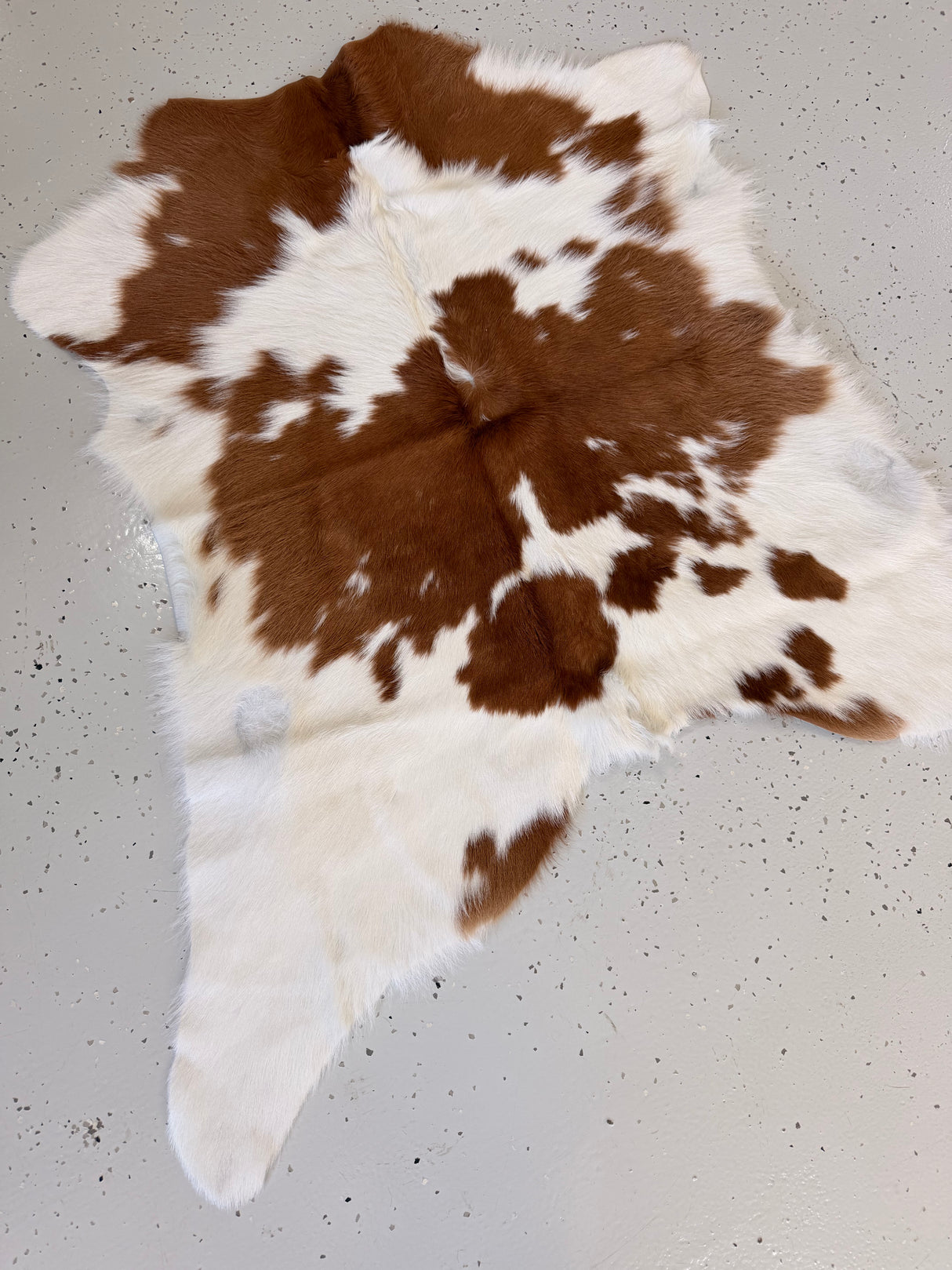Calf Hide Floor Rug 048