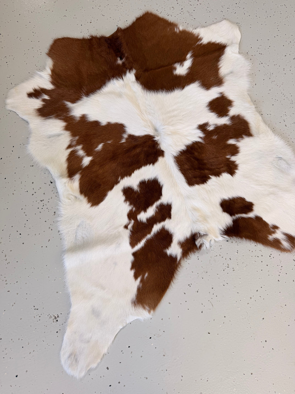 Calf Hide Floor Rug 049