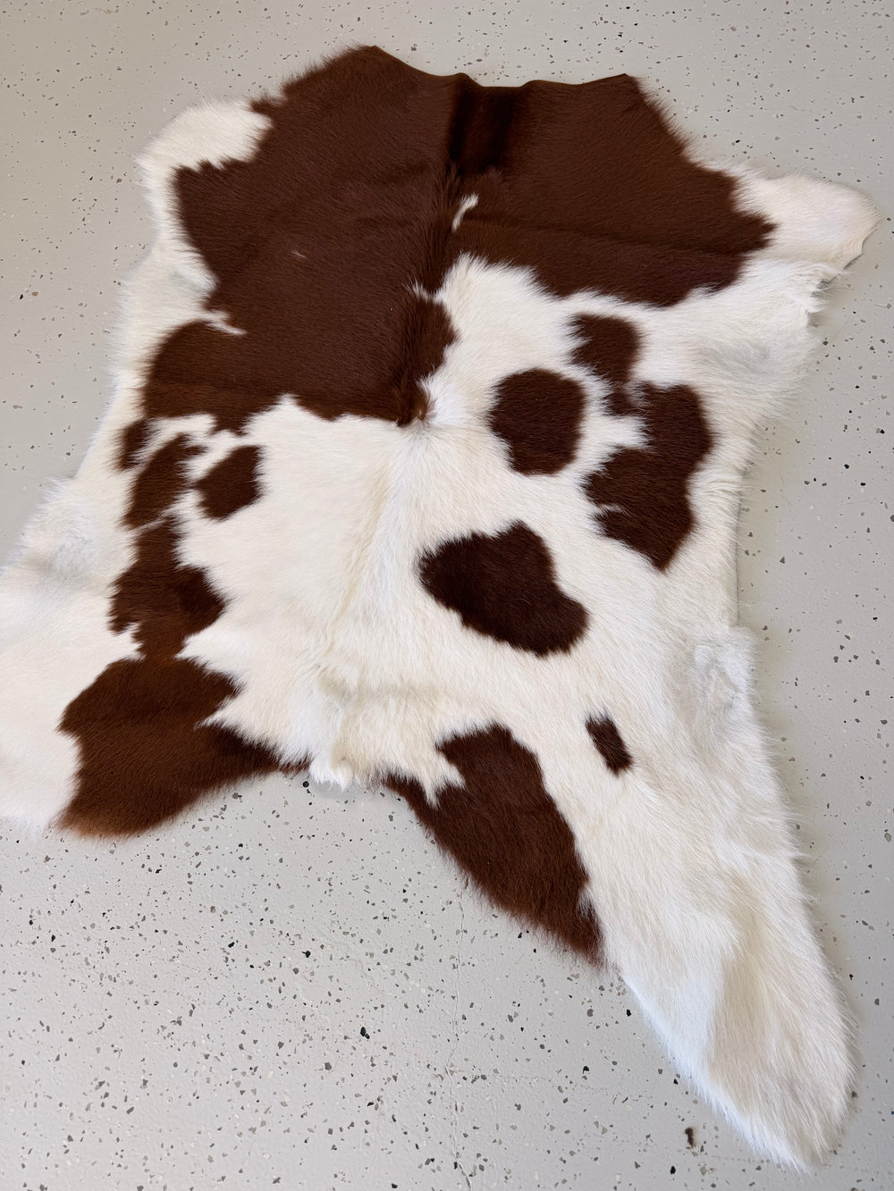 Calf Hide Floor Rug 050