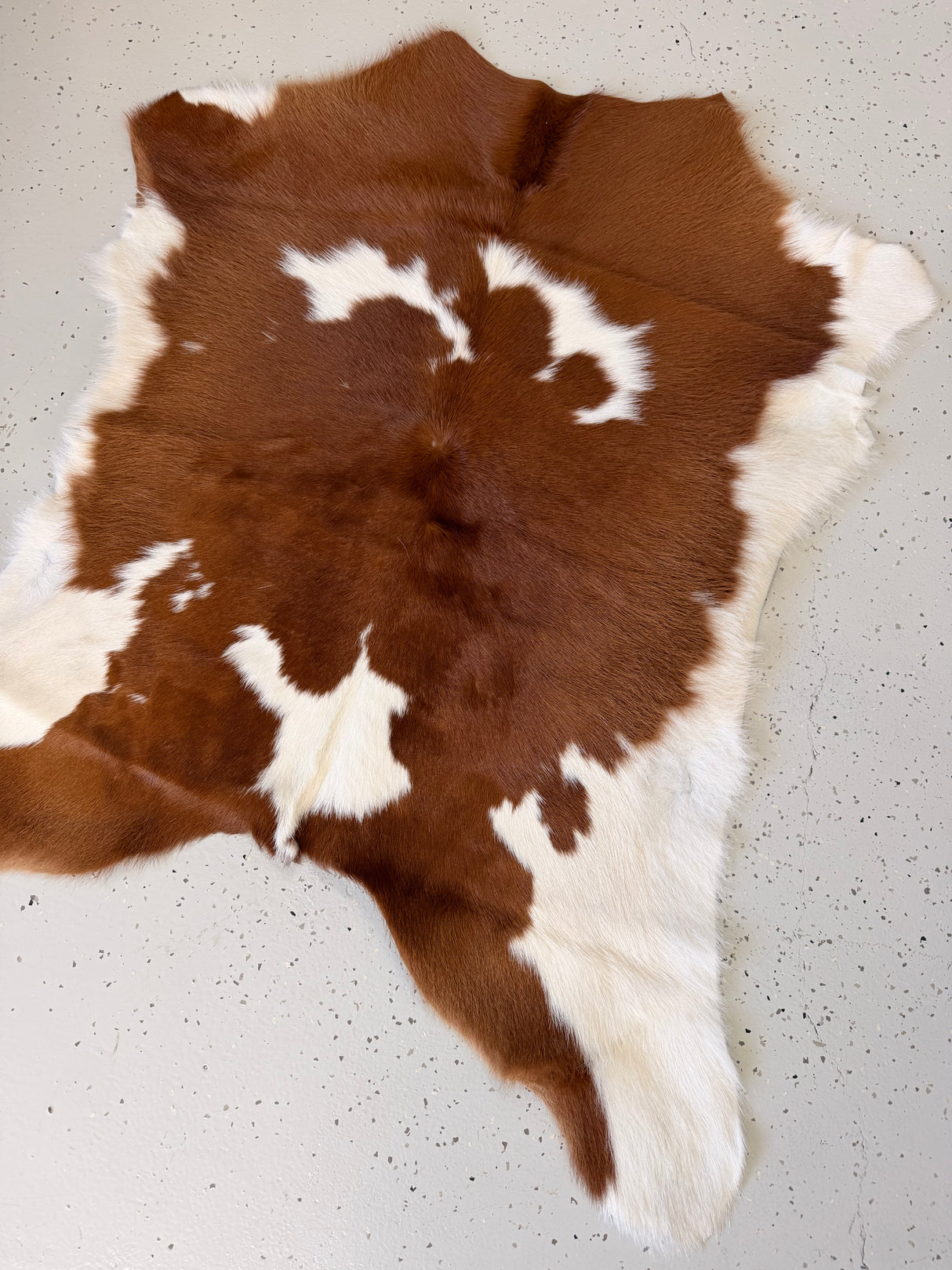 Calf Hide Floor Rug 051