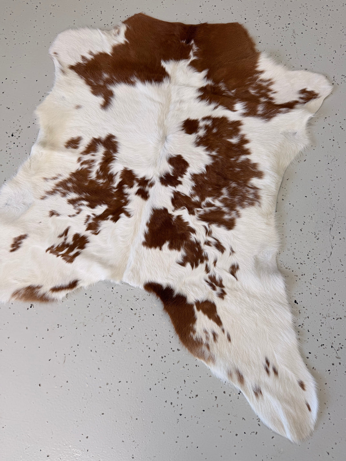 Calf Hide Floor Rug 052