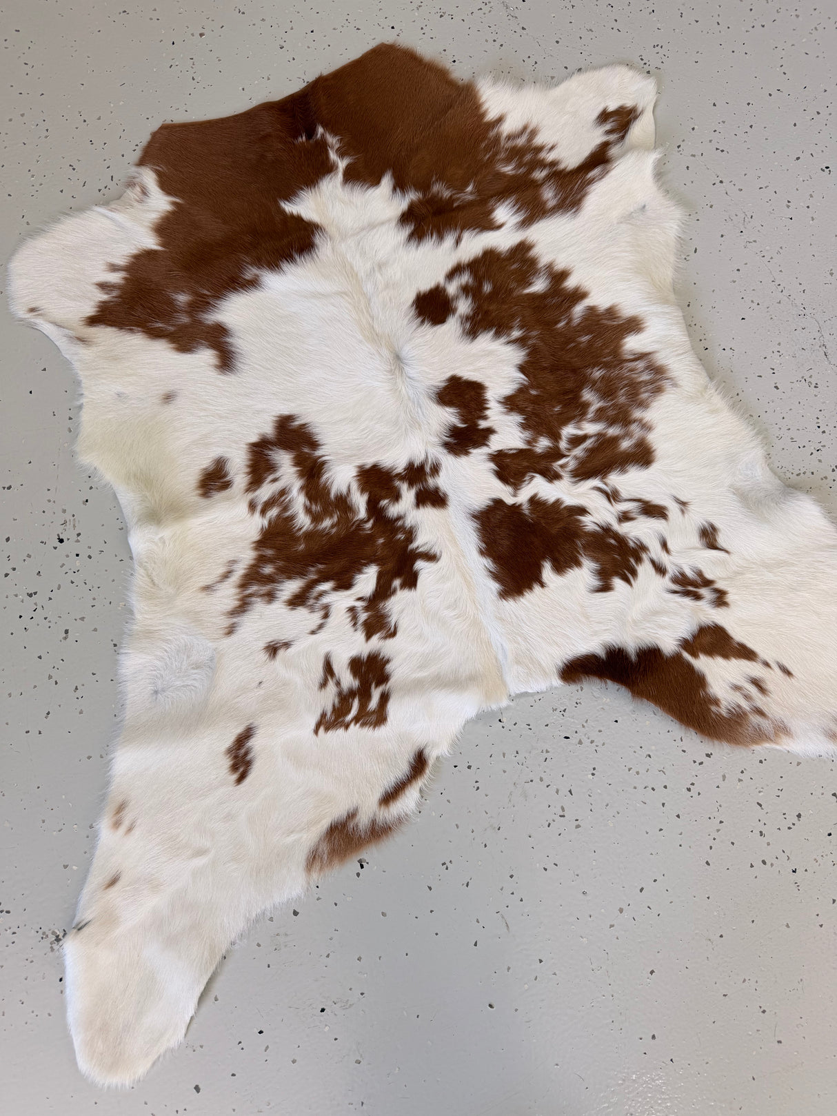Calf Hide Floor Rug 052