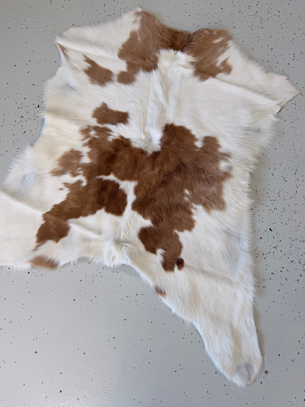 Calf Hide Floor Rug 053