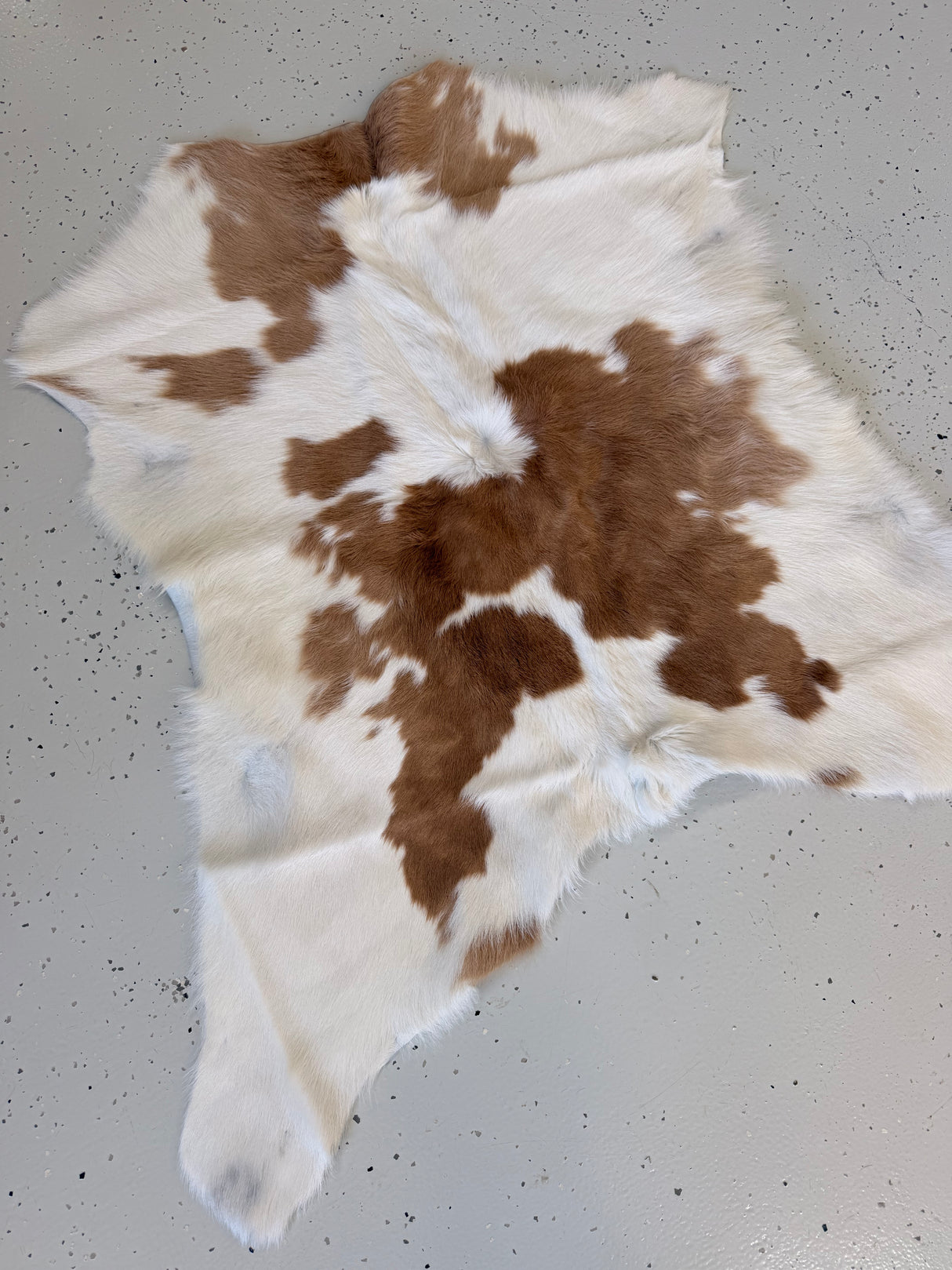 Calf Hide Floor Rug 053