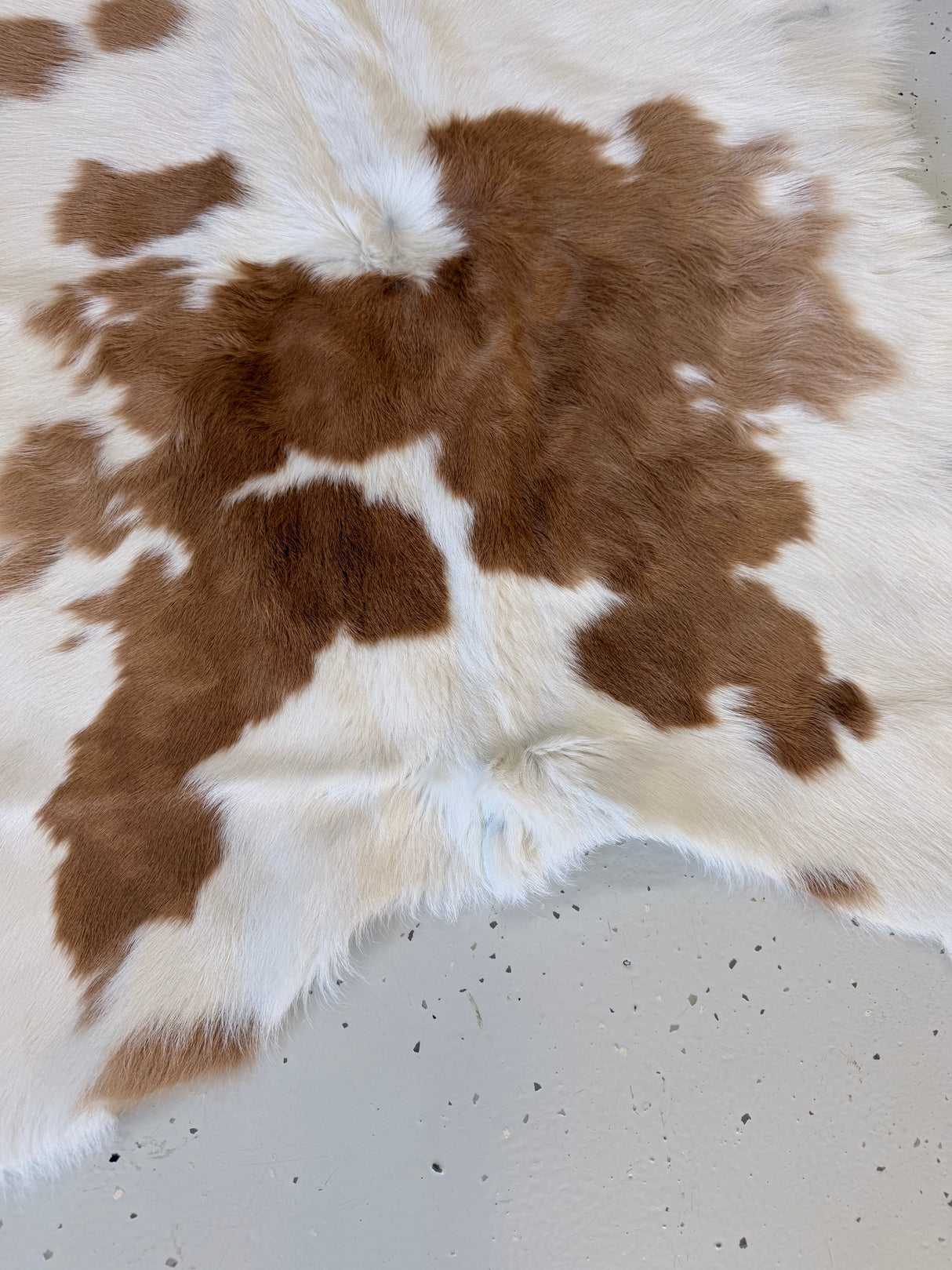 Calf Hide Floor Rug 053
