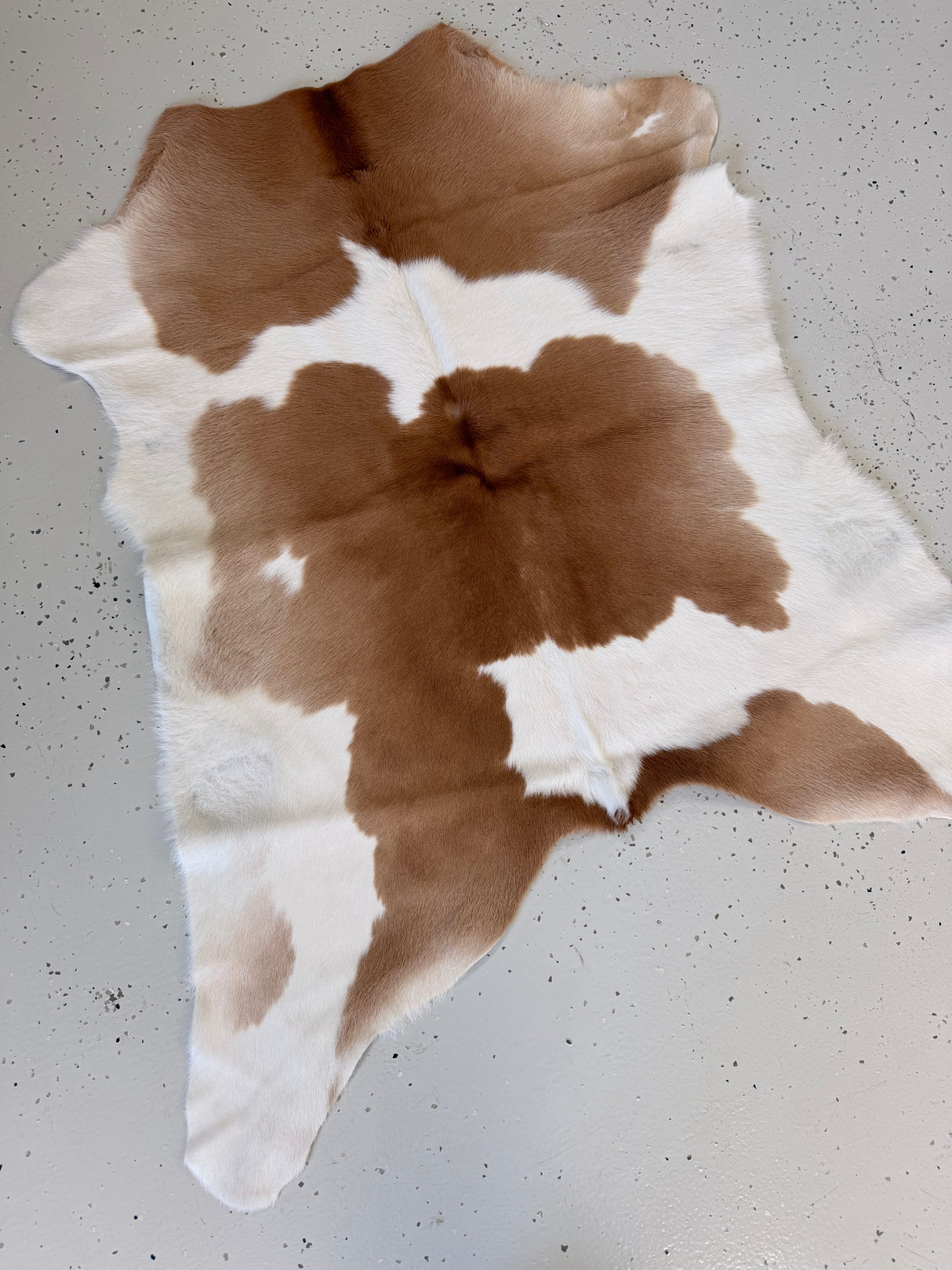 Calf Hide Floor Rug 054