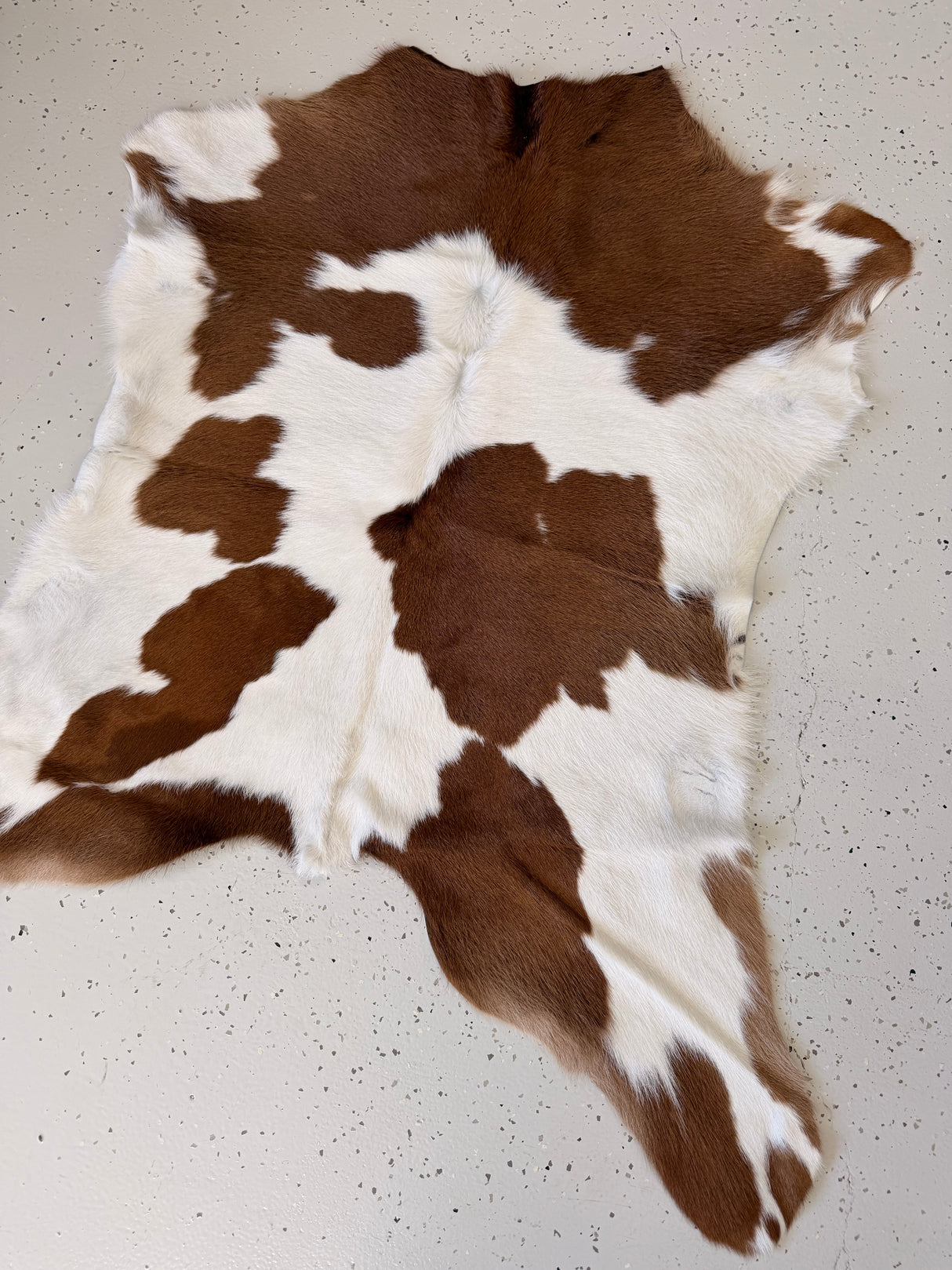 Calf Hide Floor Rug 055