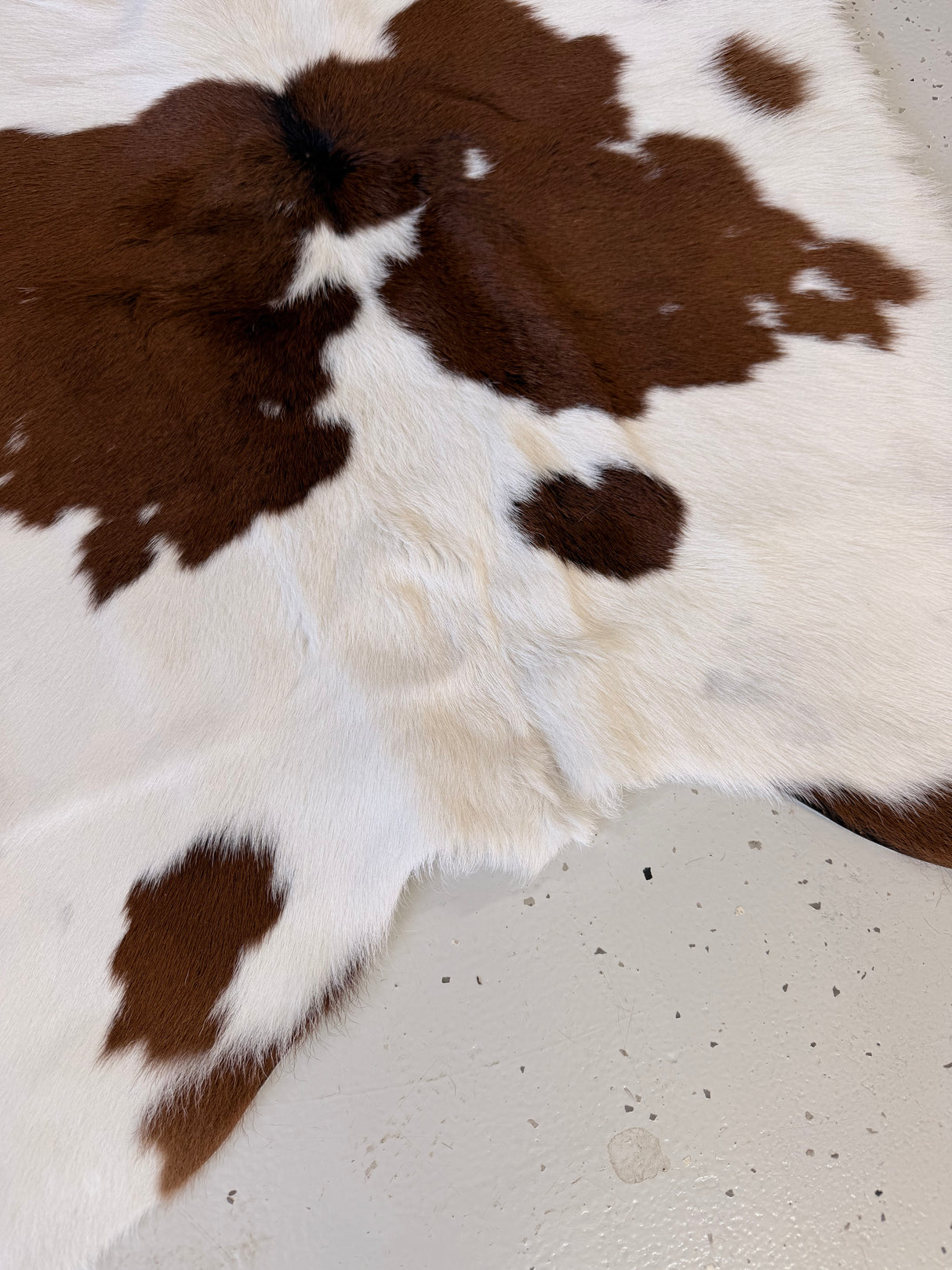 Calf Hide Floor Rug 057
