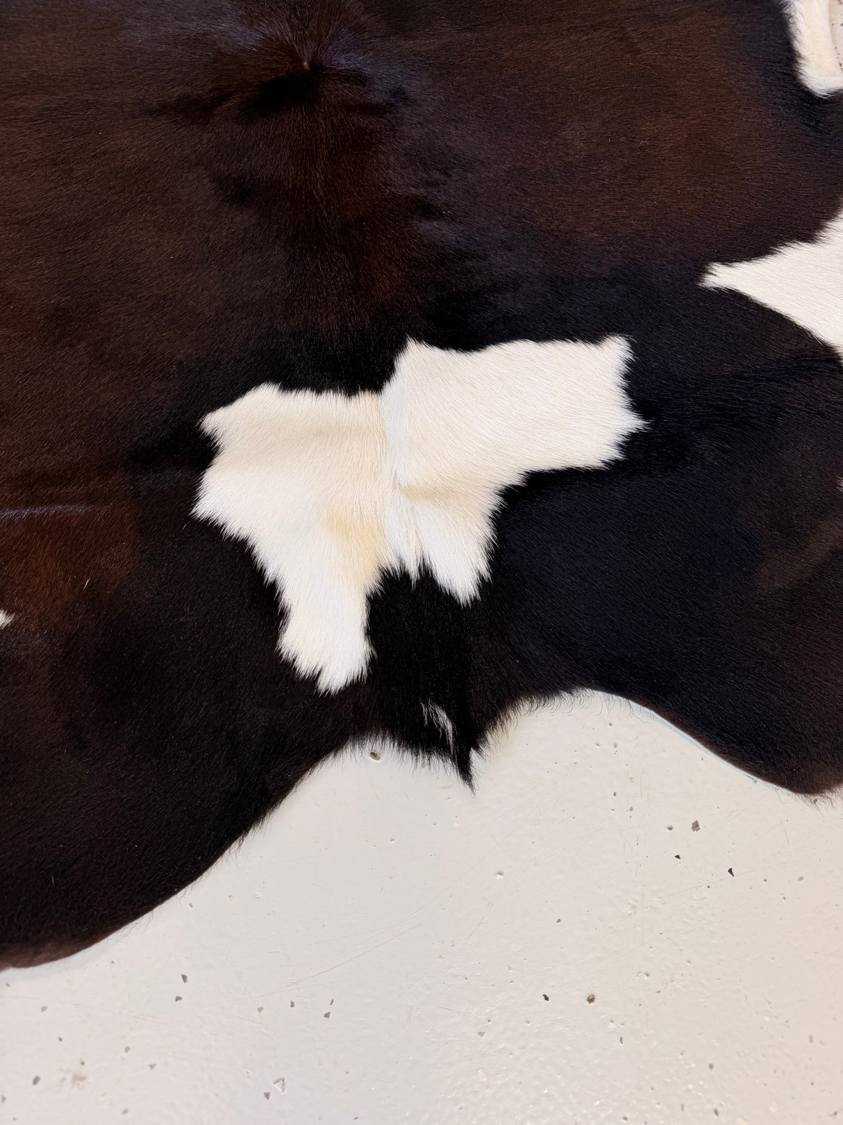 Calf Hide Floor Rug 058