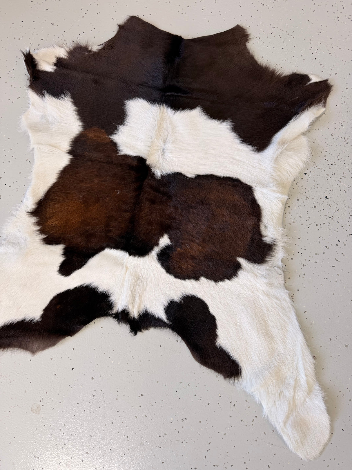 Calf Hide Floor Rug 059