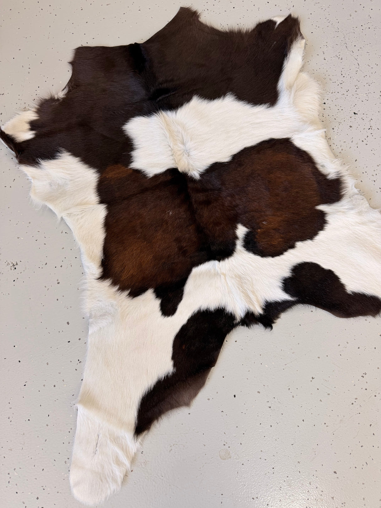 Calf Hide Floor Rug 059
