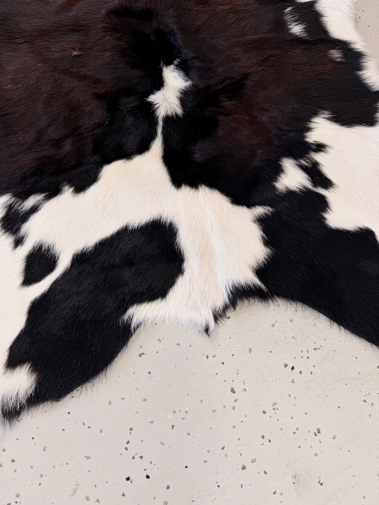 Calf Hide Floor Rug 060