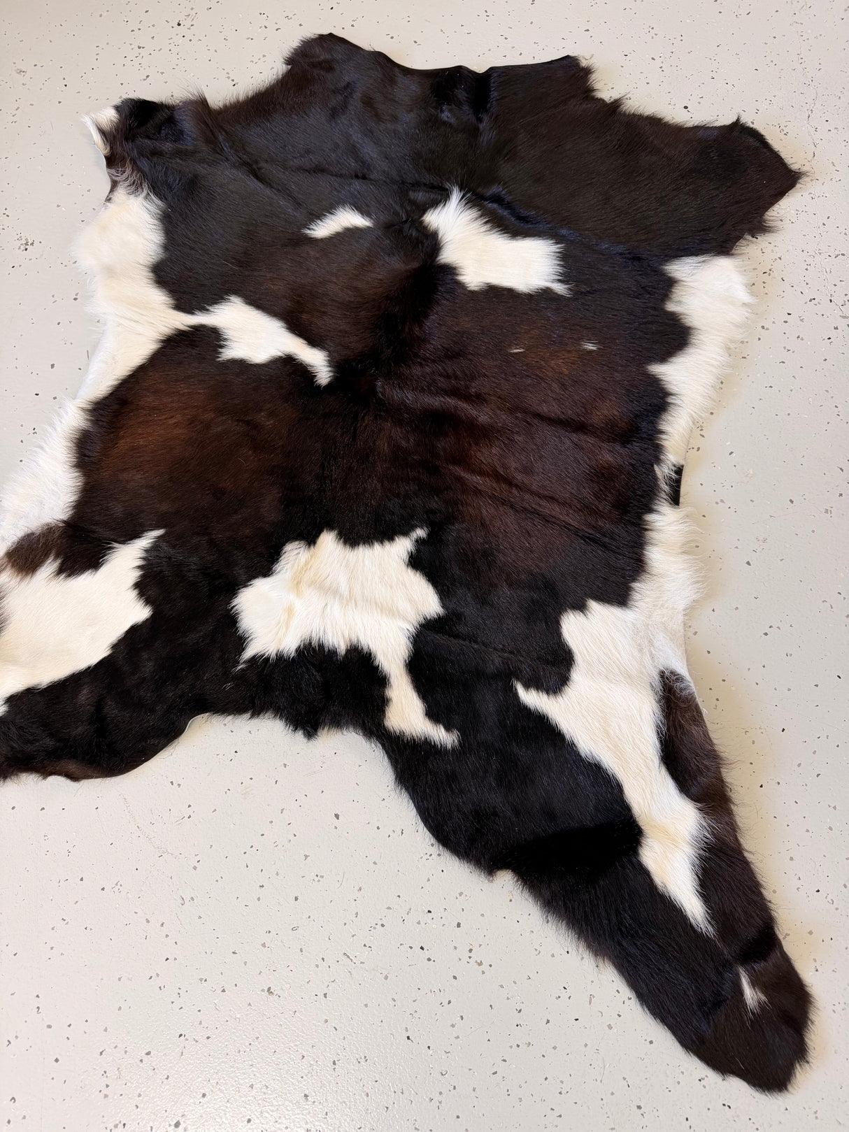 Calf Hide Floor Rug 062