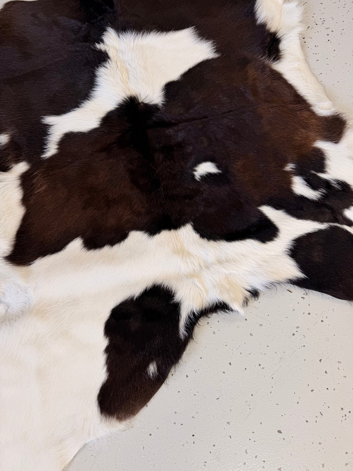 Calf Hide Floor Rug 063