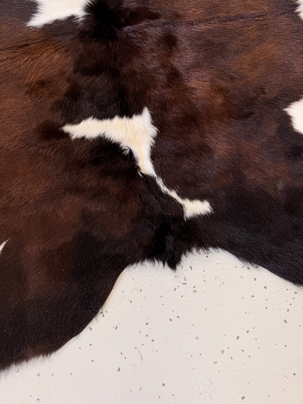 Calf Hide Floor Rug 064