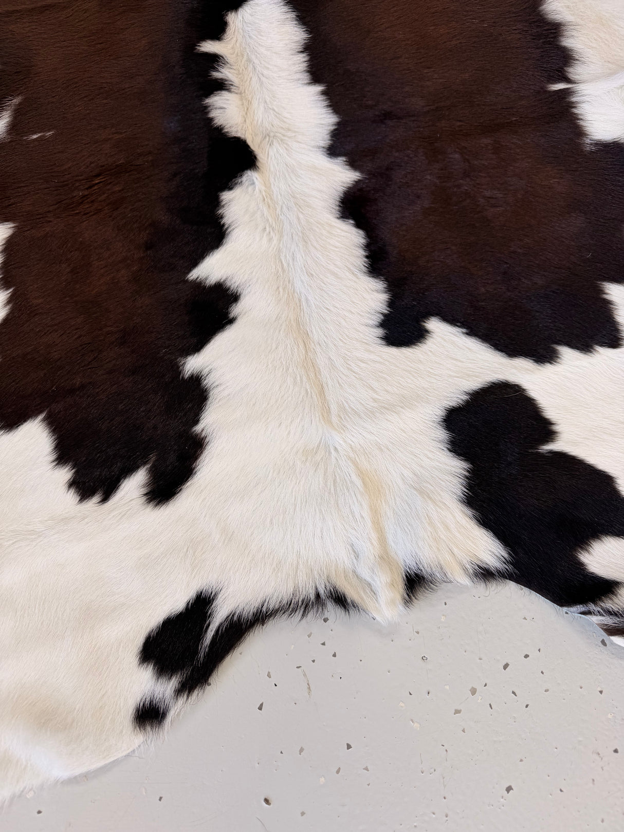 Calf Hide Floor Rug 065