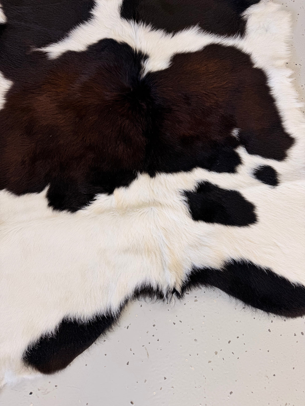 Calf Hide Floor Rug 066