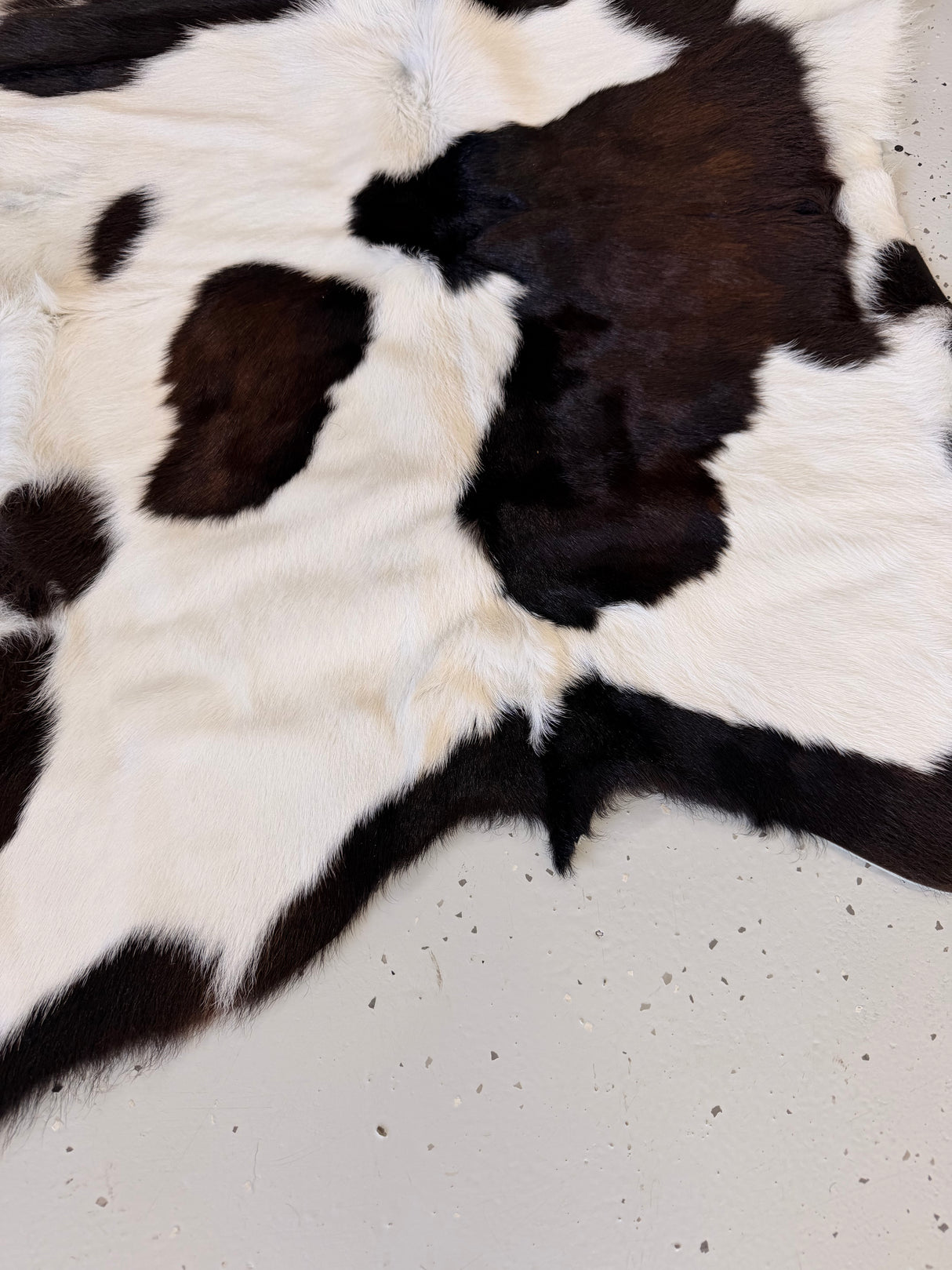 Calf Hide Floor Rug 067