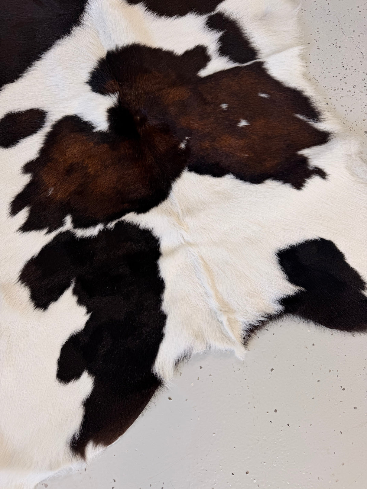 Calf Hide Floor Rug 069