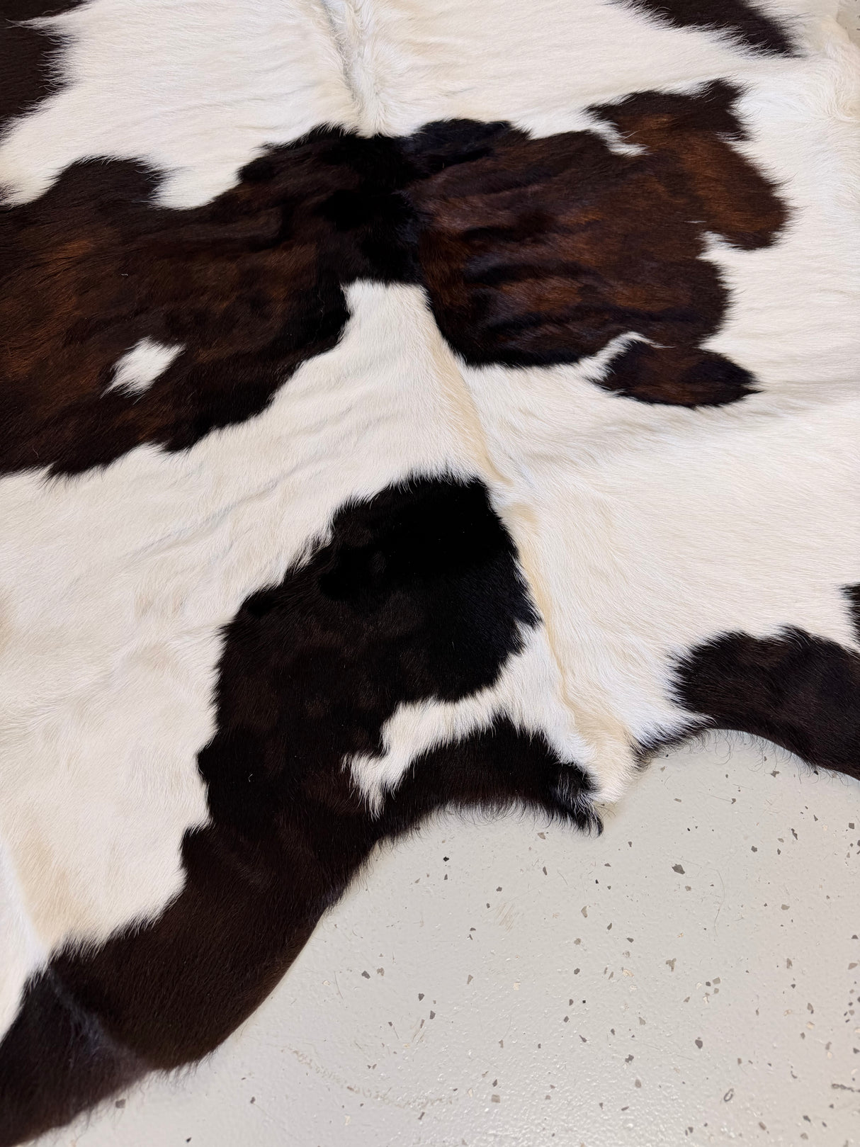 Calf Hide Floor Rug 070