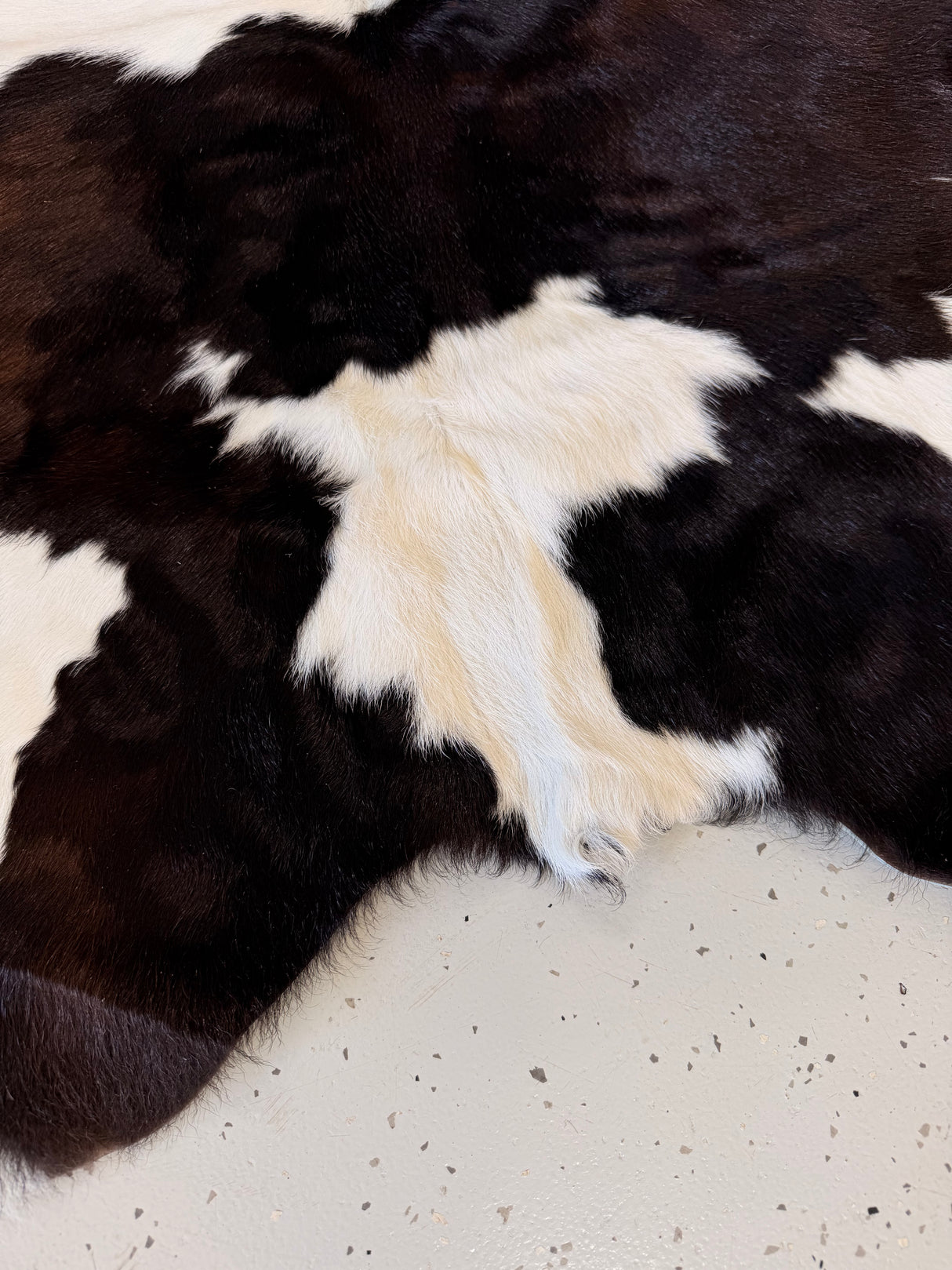 Calf Hide Floor Rug 076