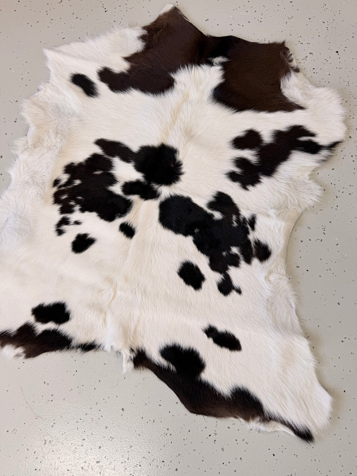 Calf Hide Floor Rug 078