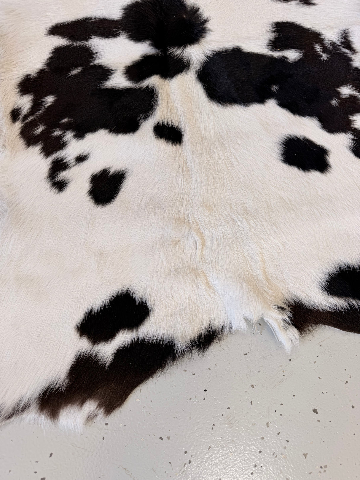 Calf Hide Floor Rug 078